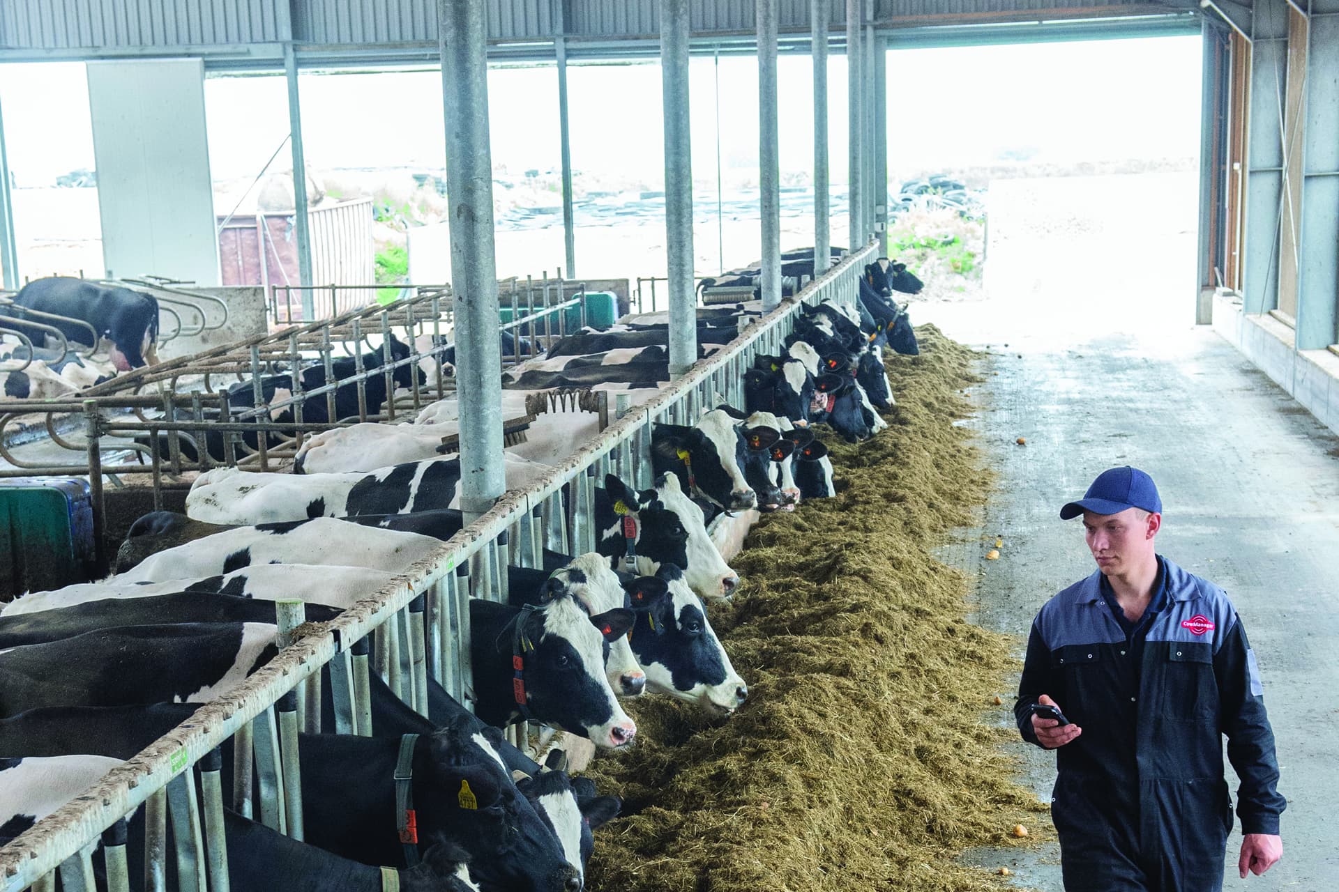case study cowmanager cow stable